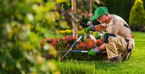 as4lesslandscaping: Elevate Your Yard with Affordable, Expert Landscaping Services