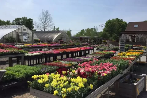 AS4Less Nursery & Landscaping Supply: