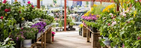 AS4Less Nursery & Landscaping Supply: