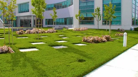The Essentials of Commercial Landscaping: Enhancing Business Environments