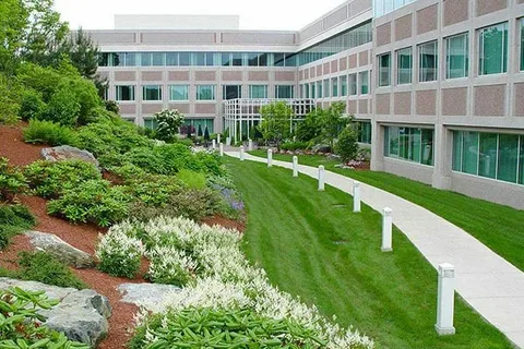 The Essentials of Commercial Landscaping: Enhancing Business Environments