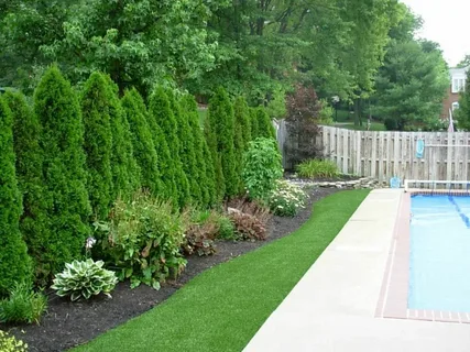 Hardscape vs. Softscape: What’s Best for Your Yard?
