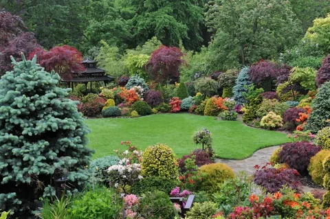 Hardscape vs. Softscape: What’s Best for Your Yard?