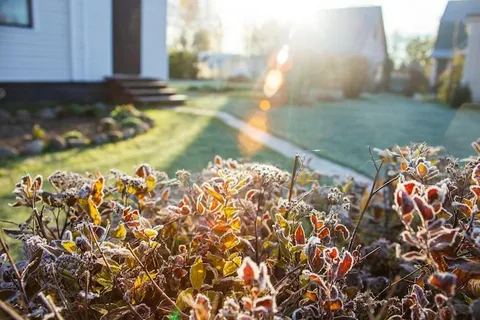 Hardscape vs. Softscape: What’s Best for Your Yard?