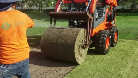 Sod Installation