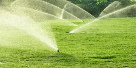 Irrigation & Sprinkler Services