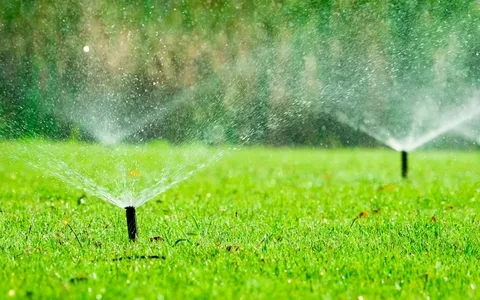 Irrigation & Sprinkler Services