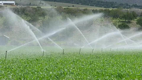 Irrigation & Sprinkler Services