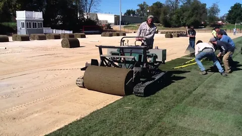 Sod installation