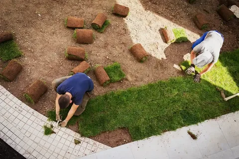 Sod installation