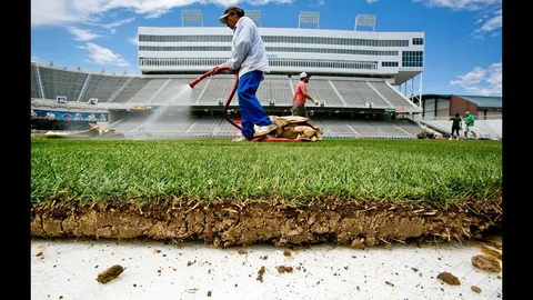 Sod installation