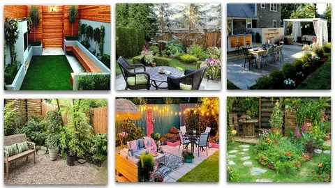 Professional landscaping on a budget