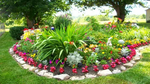 Professional landscaping on a budget