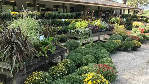 AS4Less Nursery & Landscaping Supply: